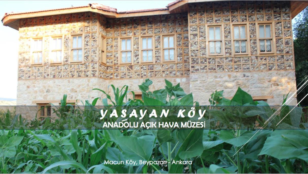 Yasayan Koy Hotel Kizilcasogut Eksteriør billede